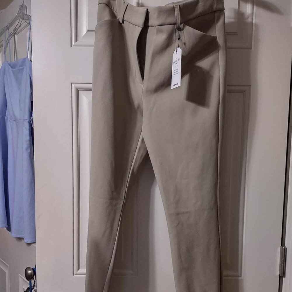 Express Dress Pants
